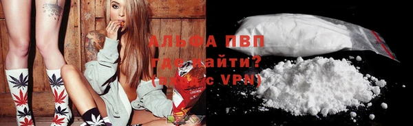 стафф Приозерск