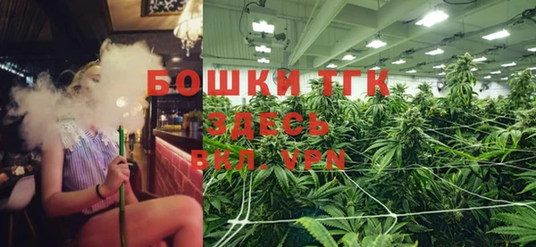 ешки Чекалин