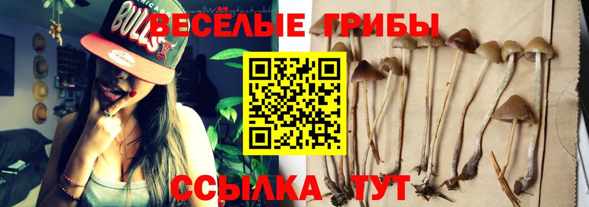 Аксай  Галлюциногенные грибы Magic Shrooms  Вход с VPN 