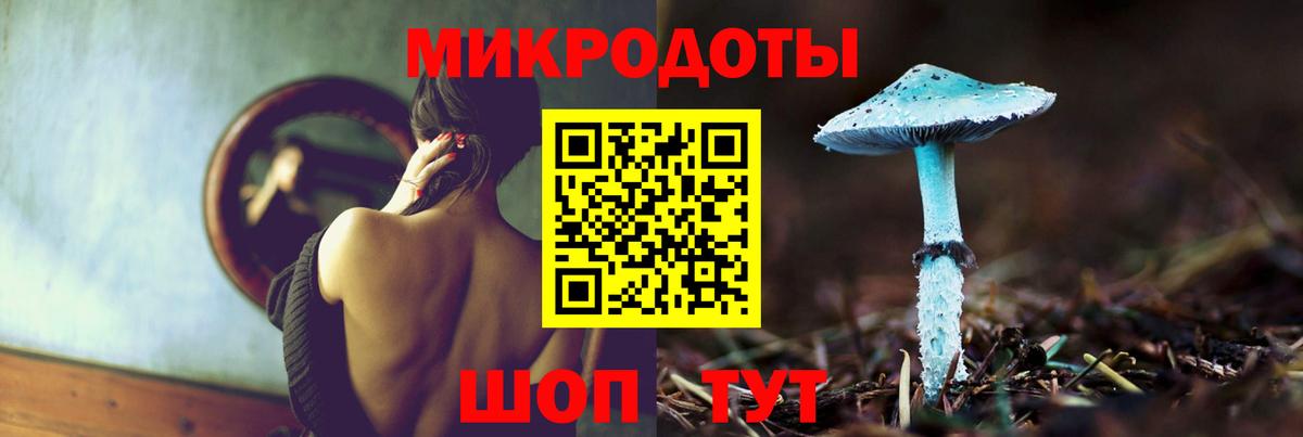 Псилоцибиновые грибы мицелий Аксай